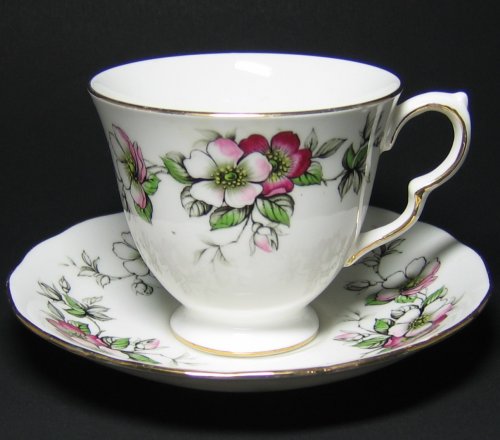 Queen Anne Tea Cup and Saucer Apple Blossom