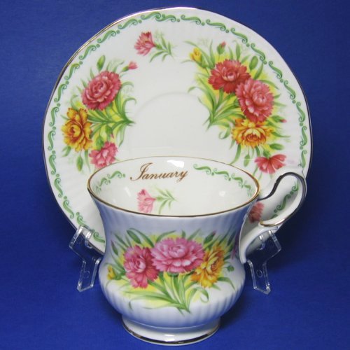 Queen's Rosina January Tea Cup and Saucer