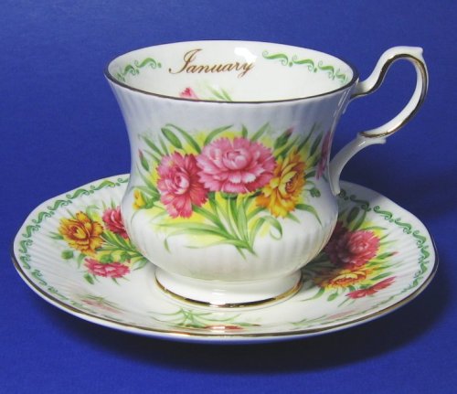 Vintage Queen's Rosina January Tea Cup and Saucer