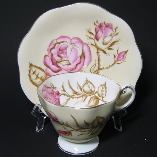 Foley Tea Cup and Saucer Pink Roses Watercolor