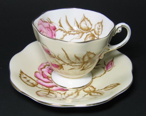 Vintage Foley Tea Cup and Saucer Pink Roses Watercolor