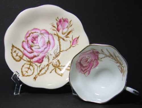 Pink Roses and Branches on Foley Teacup