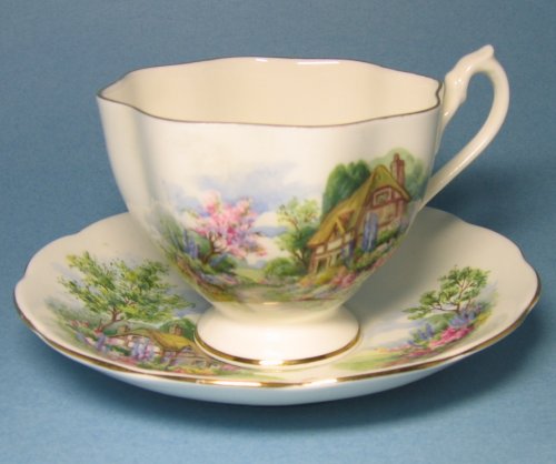 Vintage Queen Anne Country Cottage Tea Cup and Saucer