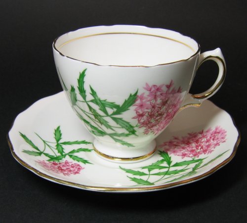 Colclough Pink Floral Joe Pye Teacup