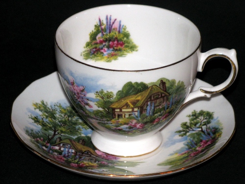 Royal Vale Cottage Scenery Teacup and Saucer 