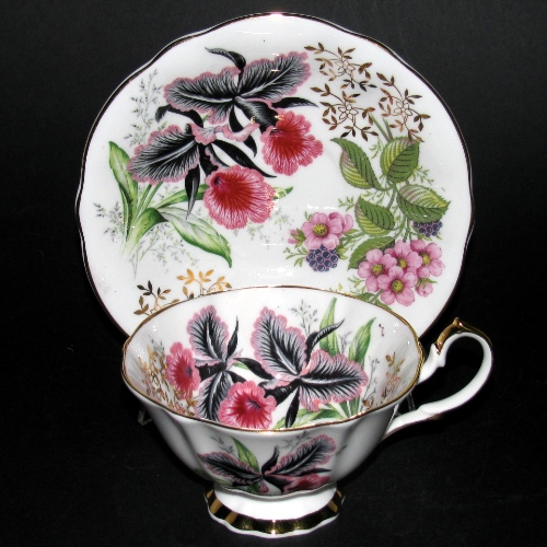Queen Anne Black Pink Flowers Teacup and Saucer