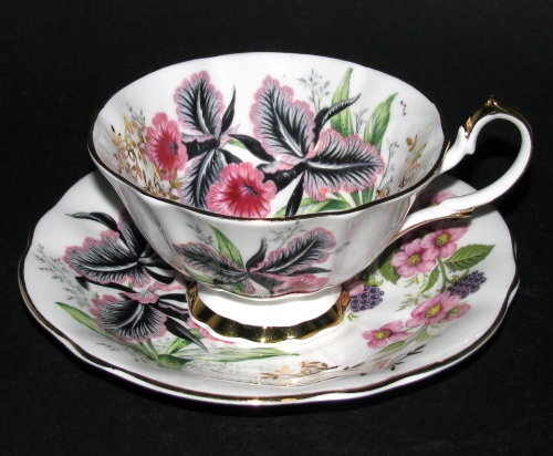 Queen Anne Black Pink Flowers Teacup