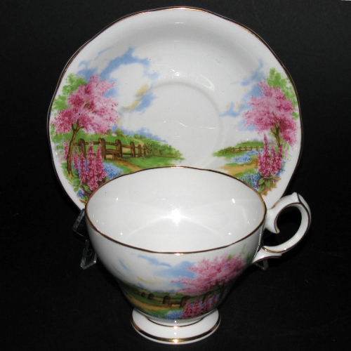 Queen Anne Meadowside Teacup and Saucer