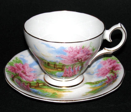 Queen Anne Meadowside Teacup