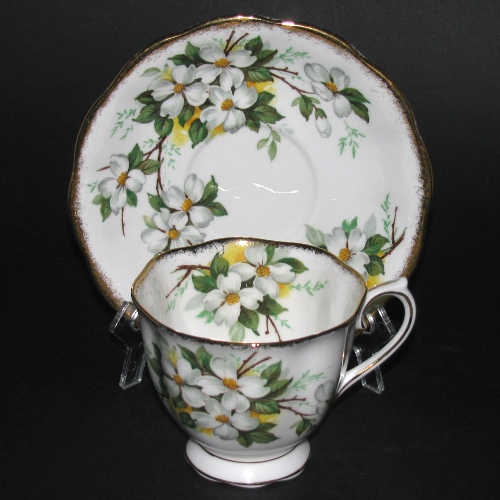 Royal Albert White Dogwood Teacup and Saucer