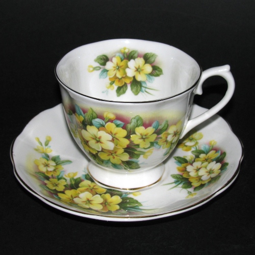 Royal Albert Yellow Flowers Teacup and Saucer