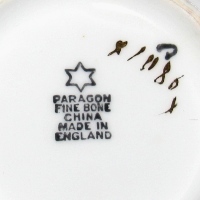 Star Paragon Bone China Tea Cup