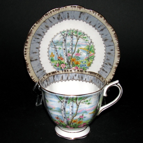 Royal Albert Silver Birch Teacup and Saucer