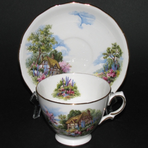 Royal Vale Cottage Scenery Teacup and Saucer