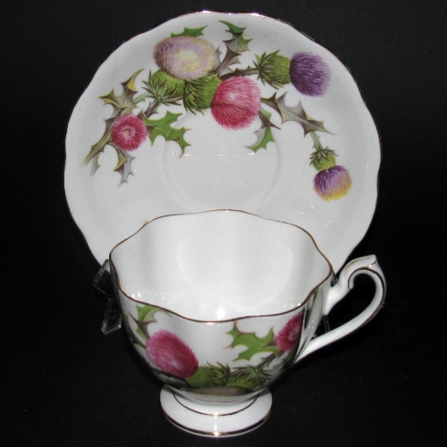 Queen Anne Dundee Thistle Teacup