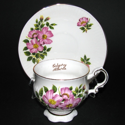 Elizabethan Alberta Prairie Rose Teacup