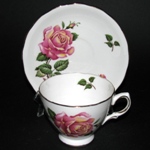 Royal Vale Peace Rose