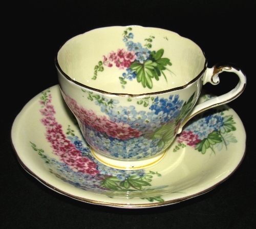 Delphiniums Teacup