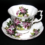 Clematis Tea Cup