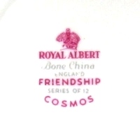 Friendship Cosmos