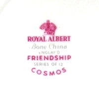 Friendship Cosmos