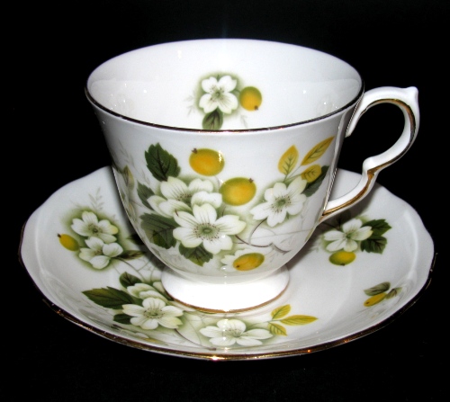 Queen Anne Berries Teacup