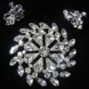 Clear Sherman Brooch and Earrings